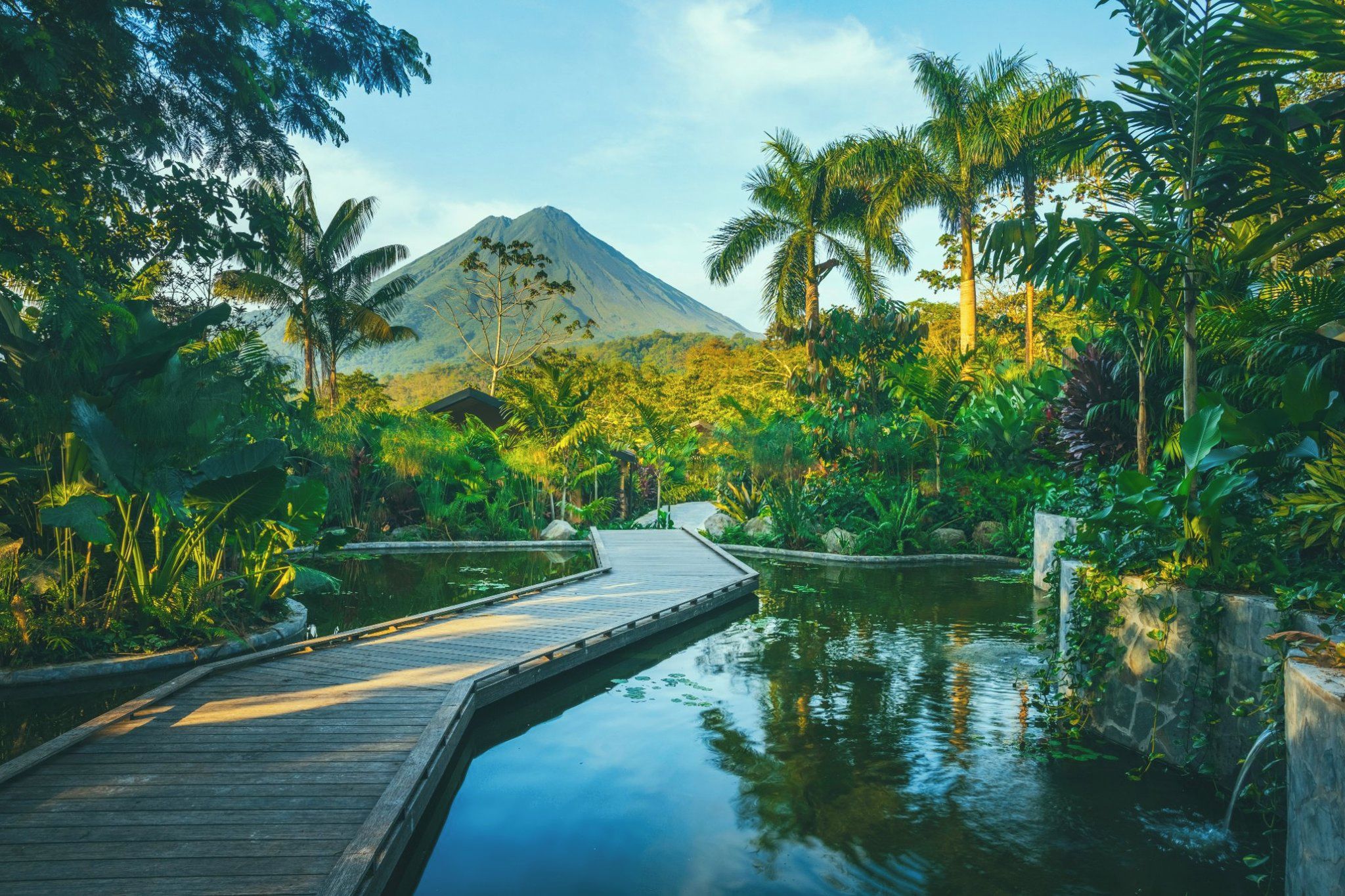 A wooden boardwalk leading to a body of water with lush greenery and a mountain in the background.
