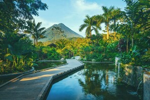A wooden boardwalk leading to a body of water with lush greenery and a mountain in the background. - Nayara Gardens (La Fortuna)