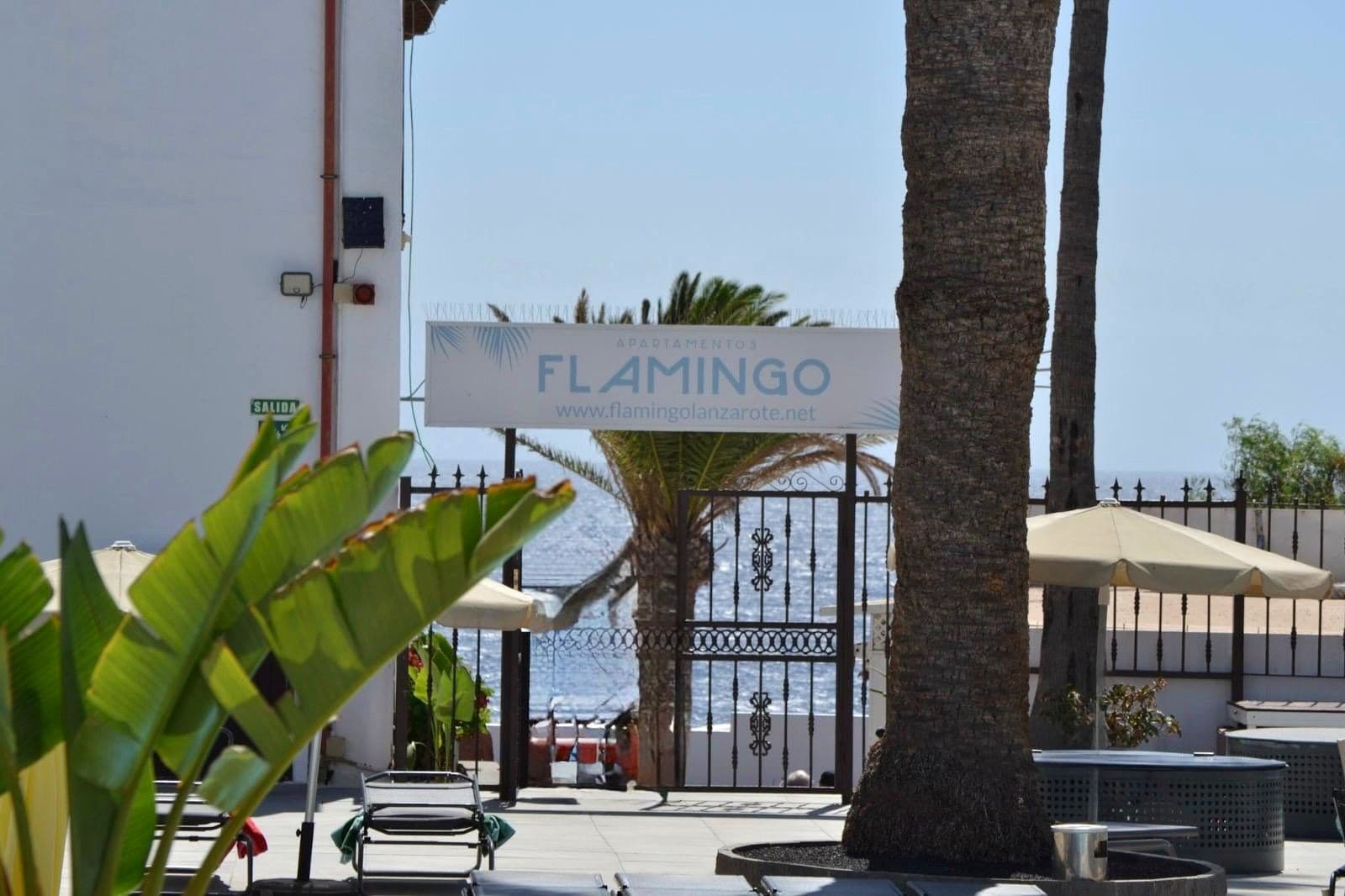An outdoor seating area with a sign for 'FLAMINGO PARTAMENTOS' and a view of the sea.