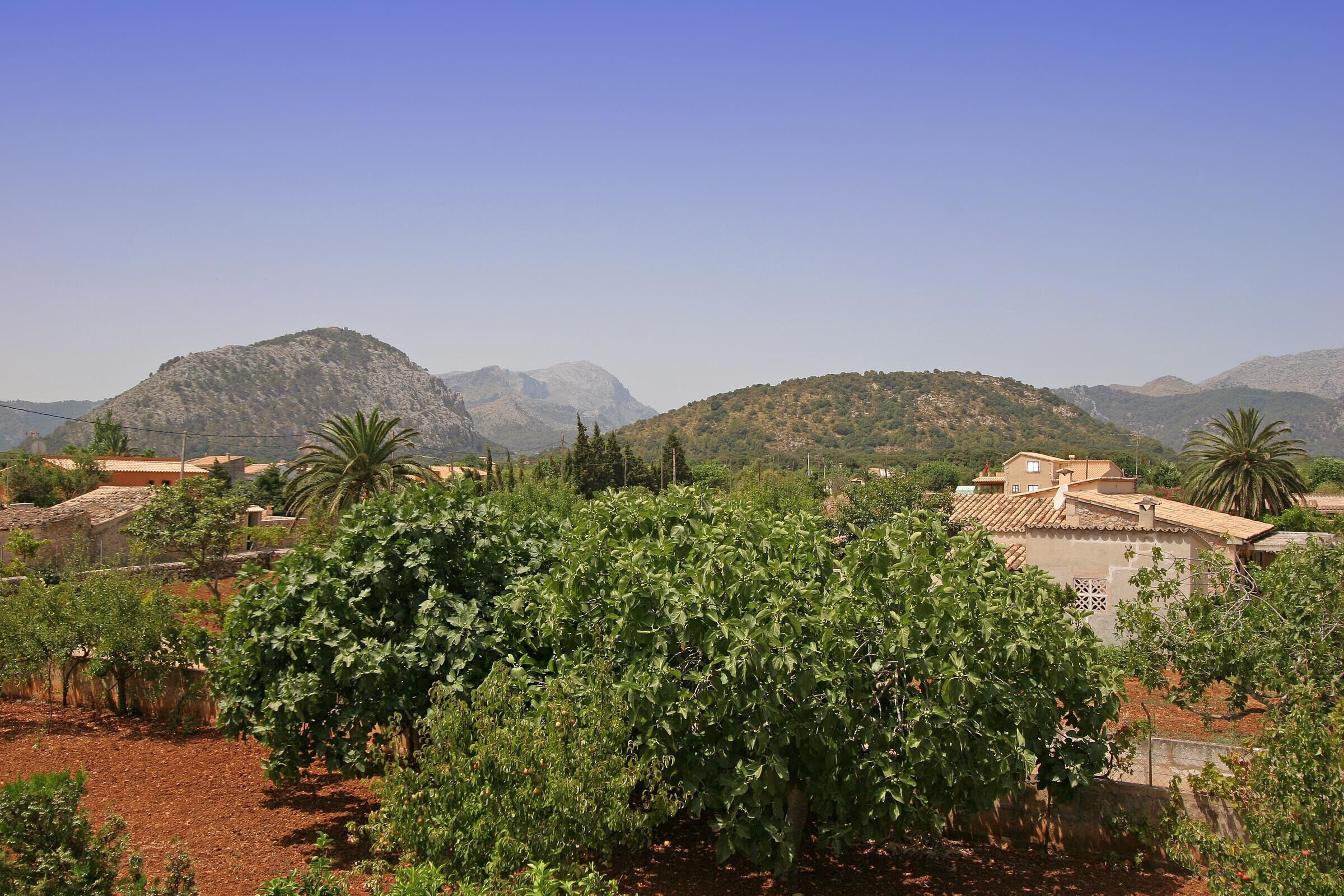 Ländliche Landschaft mit Weinbergen, Häusern und Bergen im Hintergrund.