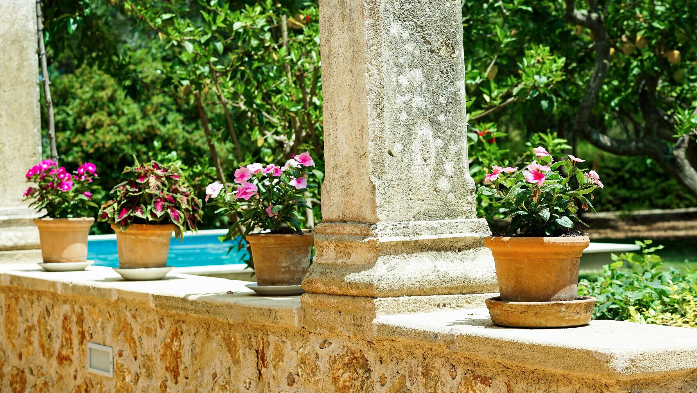 A stone balustrade with potted plants and a pool in the background.