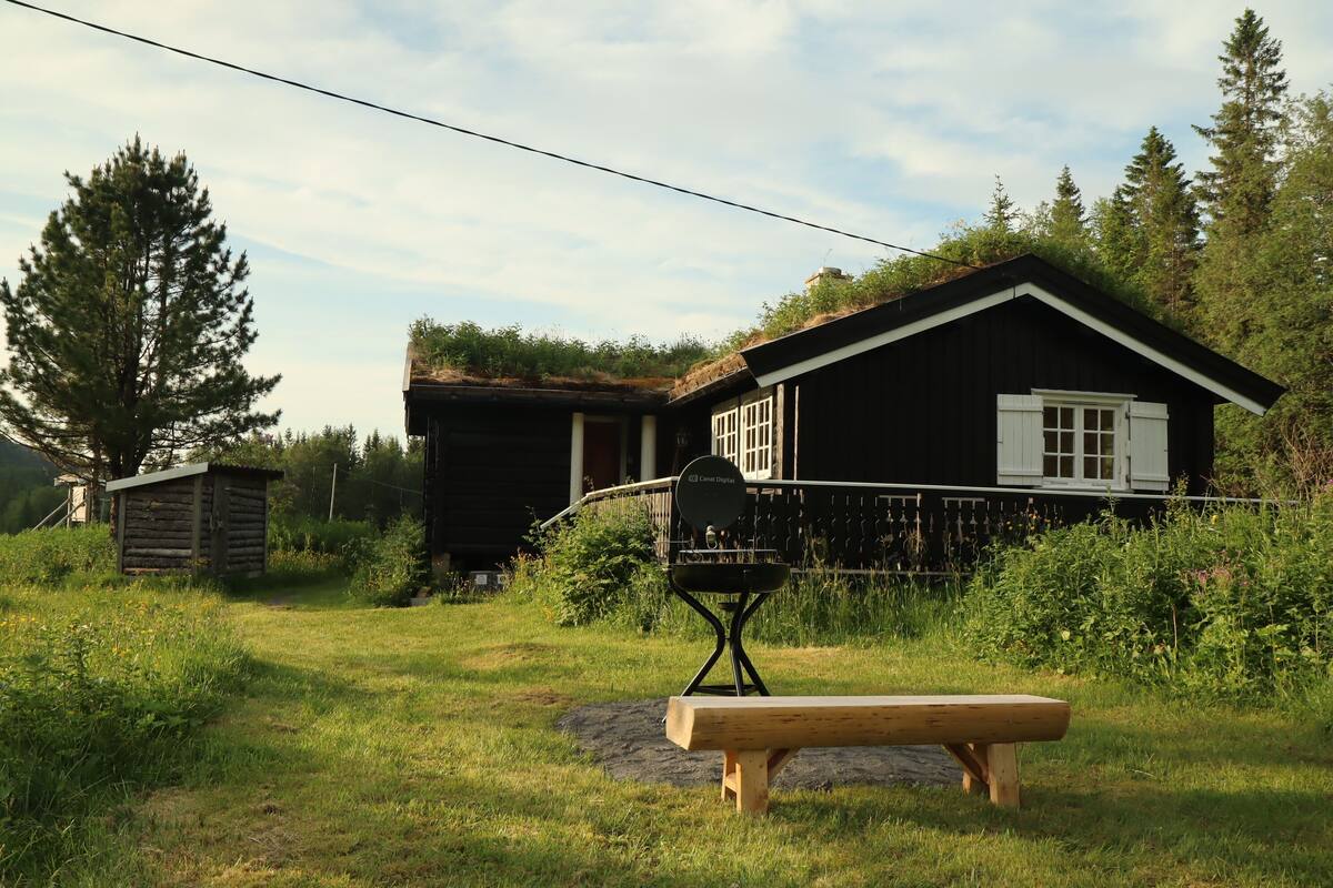 A rustic cabin with a wooden bench in front, surrounded by lush greenery and tall trees.