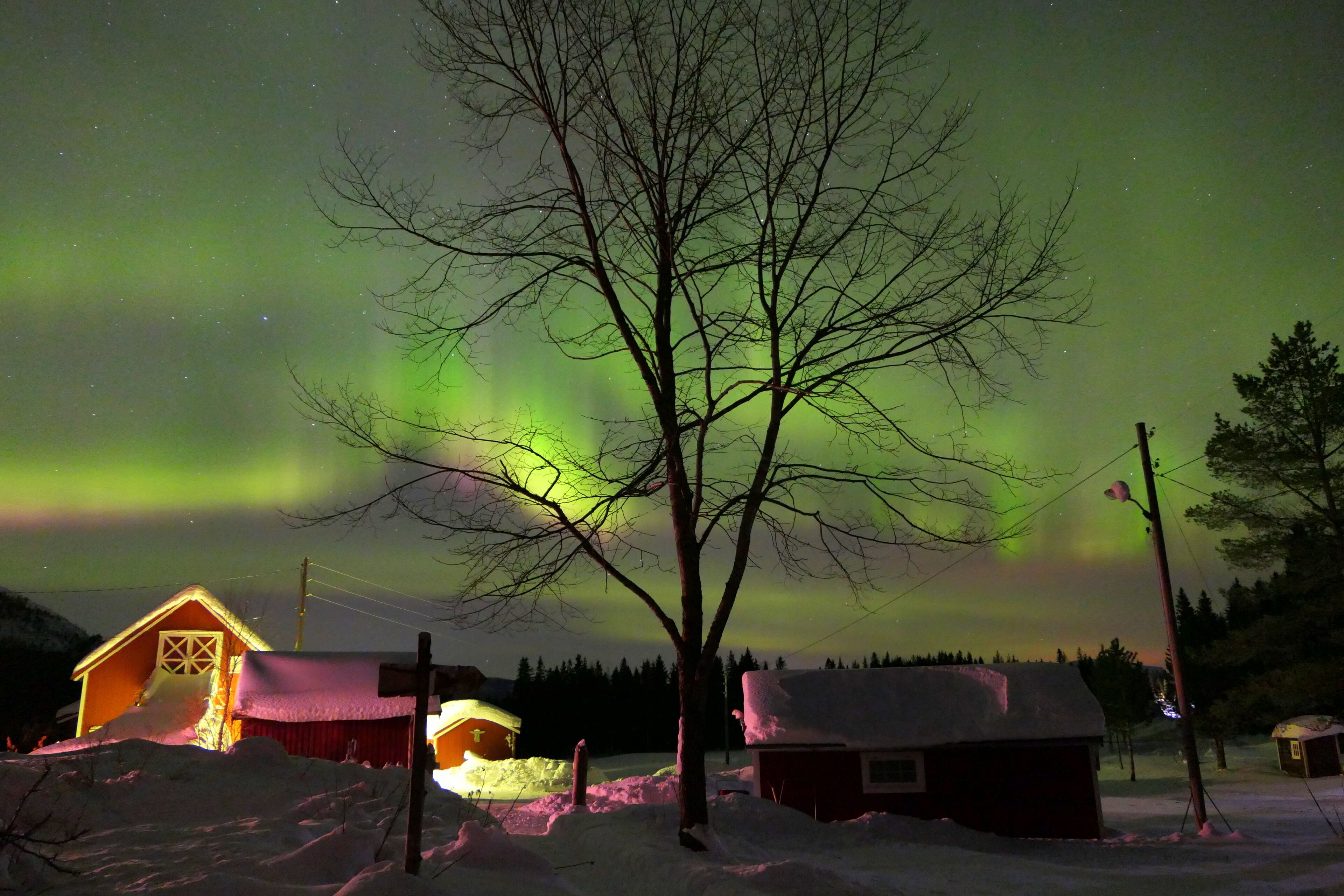 Lumipeitteinen maisema, jossa näkyy talo ja puu etualalla.