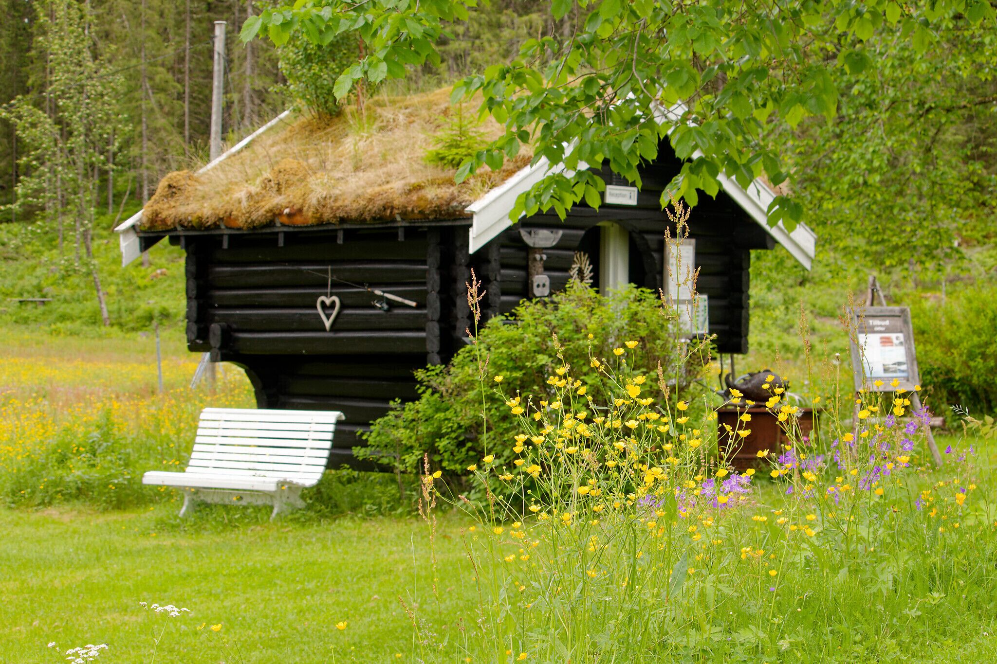 A rustic wooden cabin with a thatched roof, a bench, and wildflowers in the foreground.