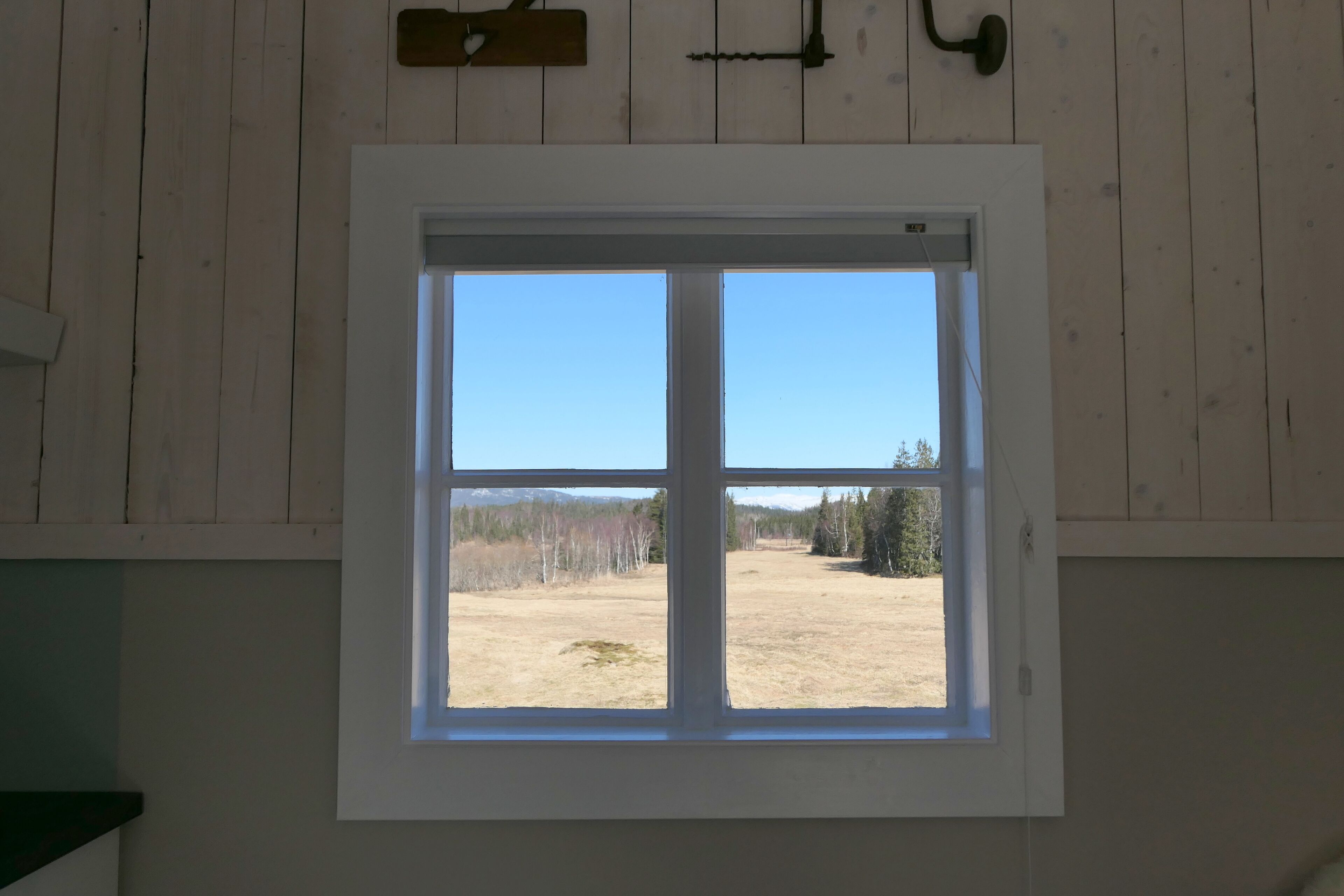 Una ventana con vista despejada a un campo cubierto de hierba y árboles.
