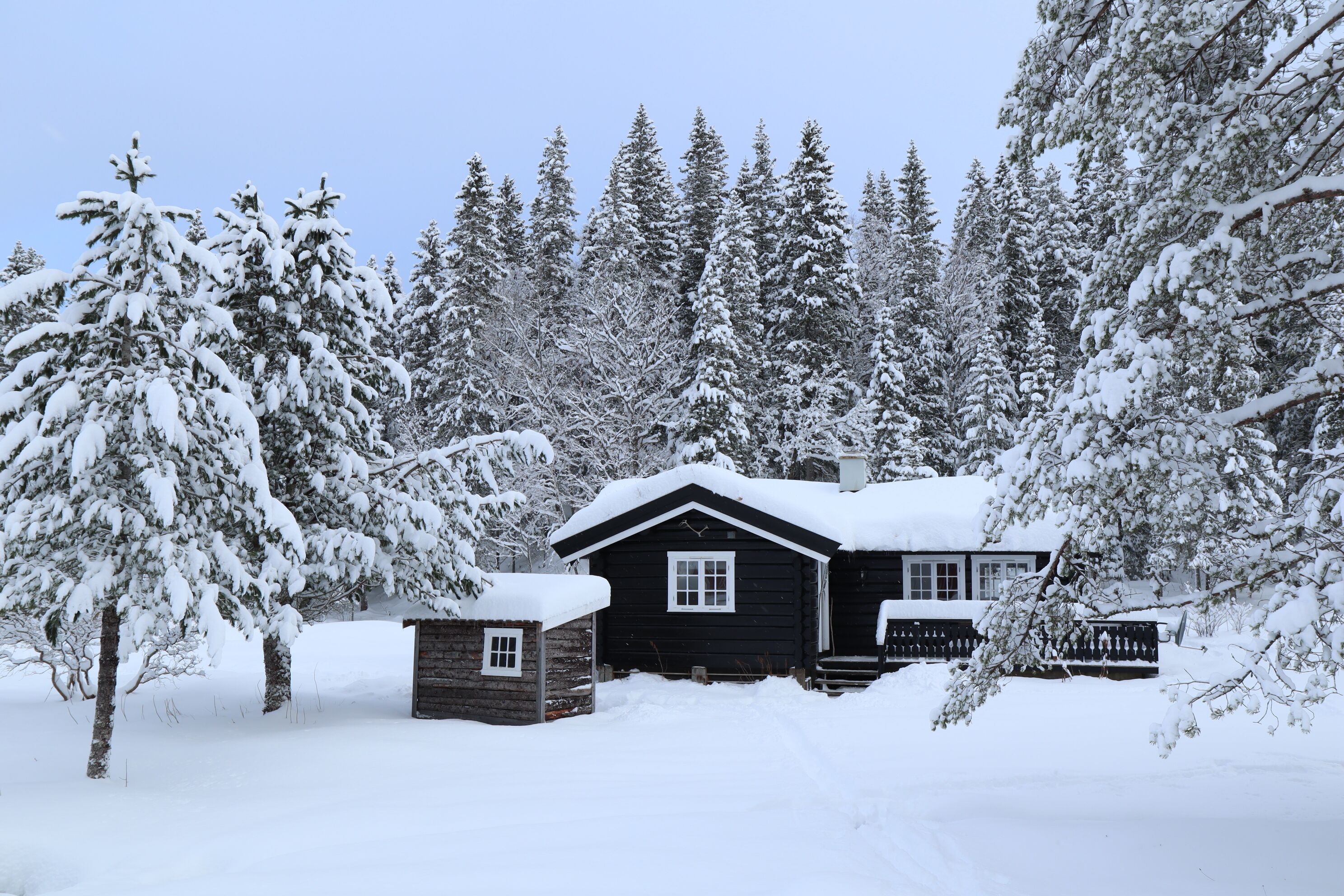 A cabin surrounded by snow-covered trees.