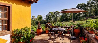 Casa Federico, surrounded by pine forests and vineyards in Puntagorda, island of La Palma