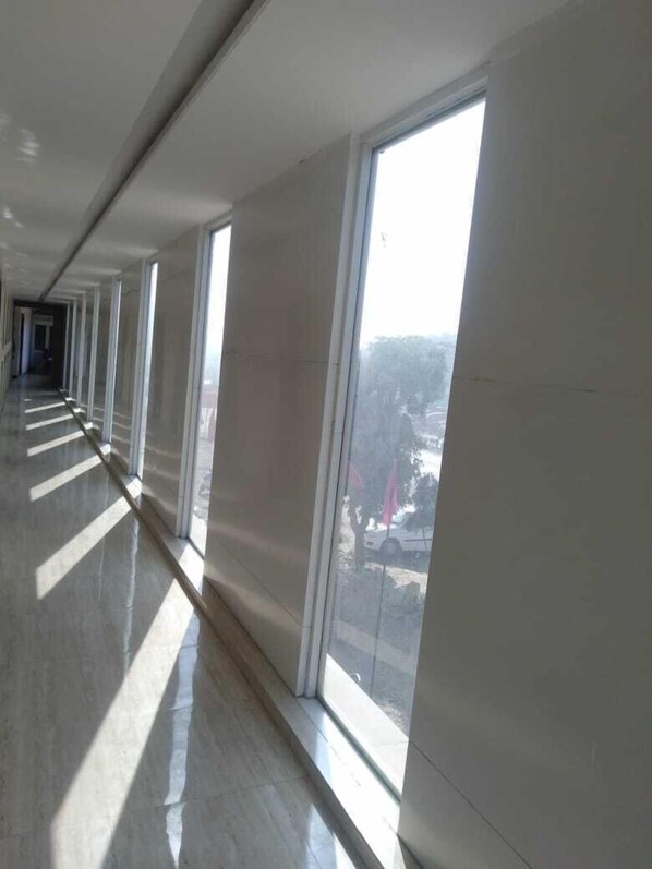 Interior detail - Hotel Silver Palm (Udaipur)