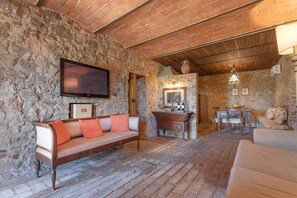 TV, fireplace, stereo - Large villa near Florence on Wine Estate (Carmignano)