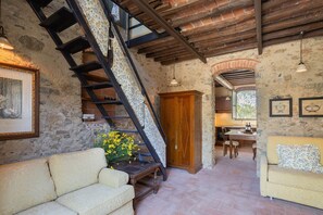 TV, fireplace, stereo - Large villa near Florence on Wine Estate (Carmignano)