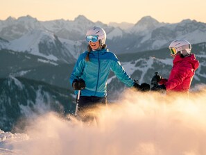 Sneeuw- en skisporten