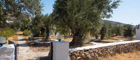 Majoituspaikan sisäänkäynti