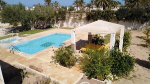 A swimming pool with a white canopy, surrounded by palm trees and a patio area.