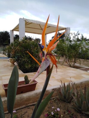 Terrein van de accommodatie