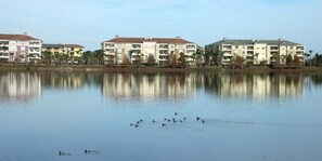 A waterfront hotel with multiple buildings, a calm lake, and a reflection of the buildings.