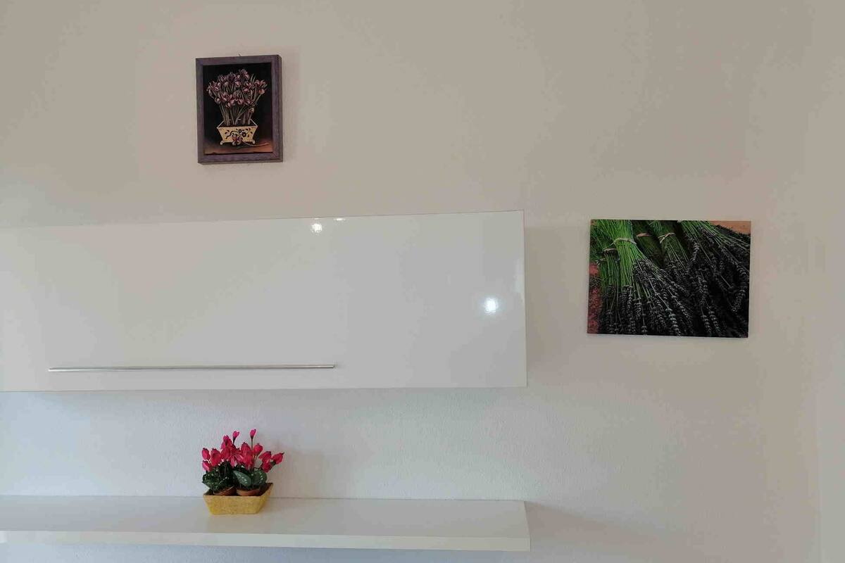 A modern living room with a flat-screen TV mounted on the wall, a small shelf with a potted plant, and two framed artworks.