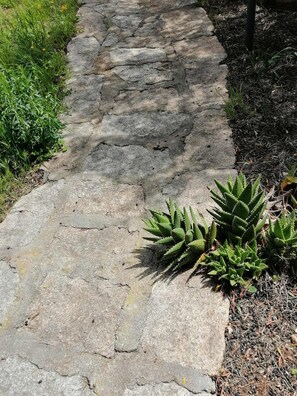 Vista al jardín