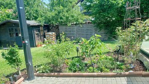 Un jardin avec différentes sortes de plantes et une clôture en bois.