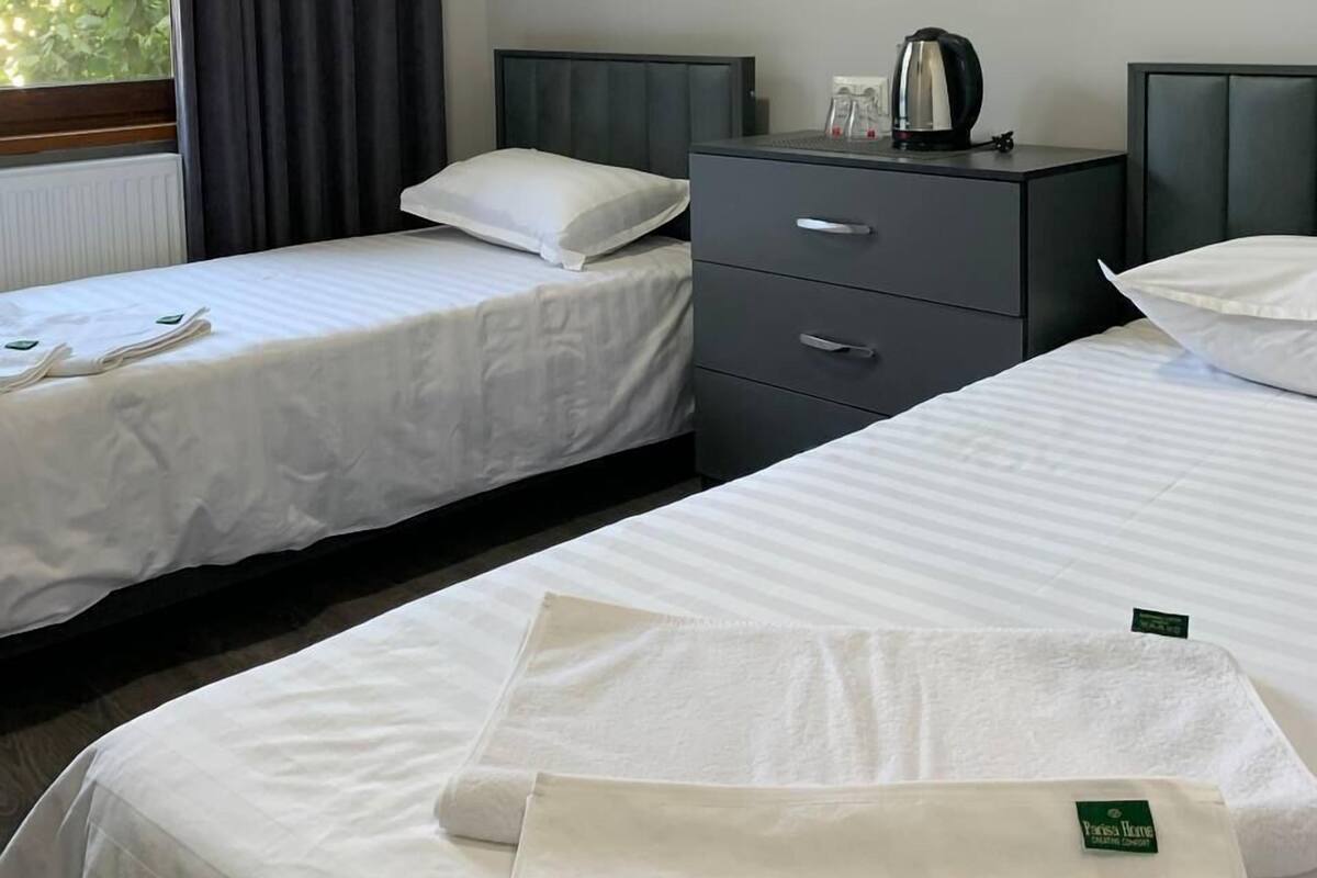 Twin Room, Non Smoking, City View | Iron/ironing board, free WiFi, bed sheets