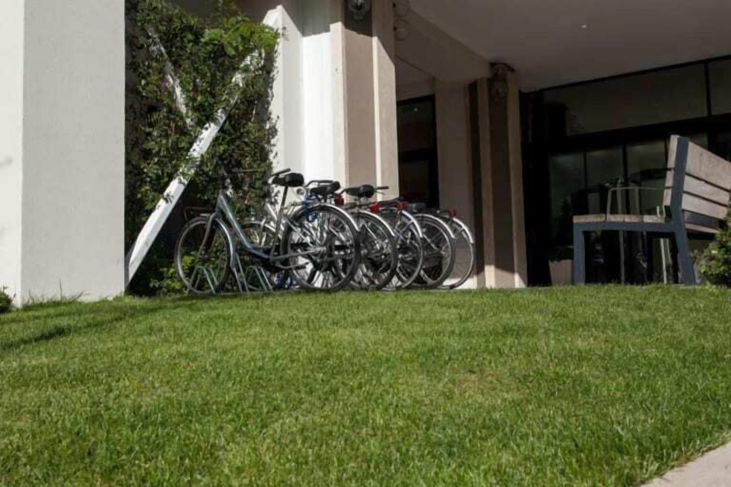 Una fila di biciclette parcheggiate davanti a un edificio con un'area verde.