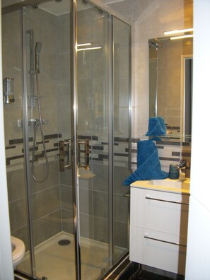 Hair dryer, towels, soap, toilet paper - "Monplaisir, center + parking, quiet, clean, wifi, near university, BSB, sciences-U (Lyon)