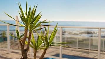 Comfort studio, 1 slaapkamer (Driftwood) | Uitzicht op strand/zee