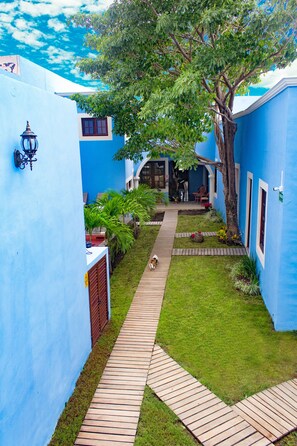 Um caminho estreito que leva a um edifício com fachada azul, uma árvore e um cão a passear pelo caminho.