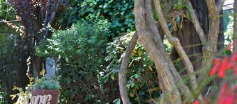 "Del 78", a journey through time ...