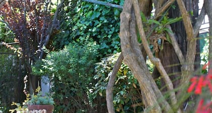 "Del 78", a journey through time ...