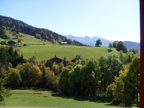 Vista desde la propiedad