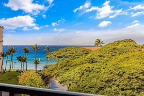 Un exuberante paisaje verde con vista al océano y palmeras.
