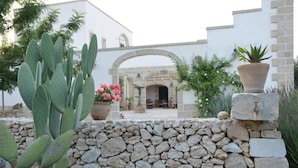 A stone wall with a cactus and potted plants, a stone archway leading to a building with a fireplace, and a white exterior wall.