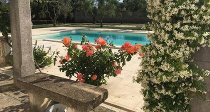 Corte dei Salentini Bed & Breakfast