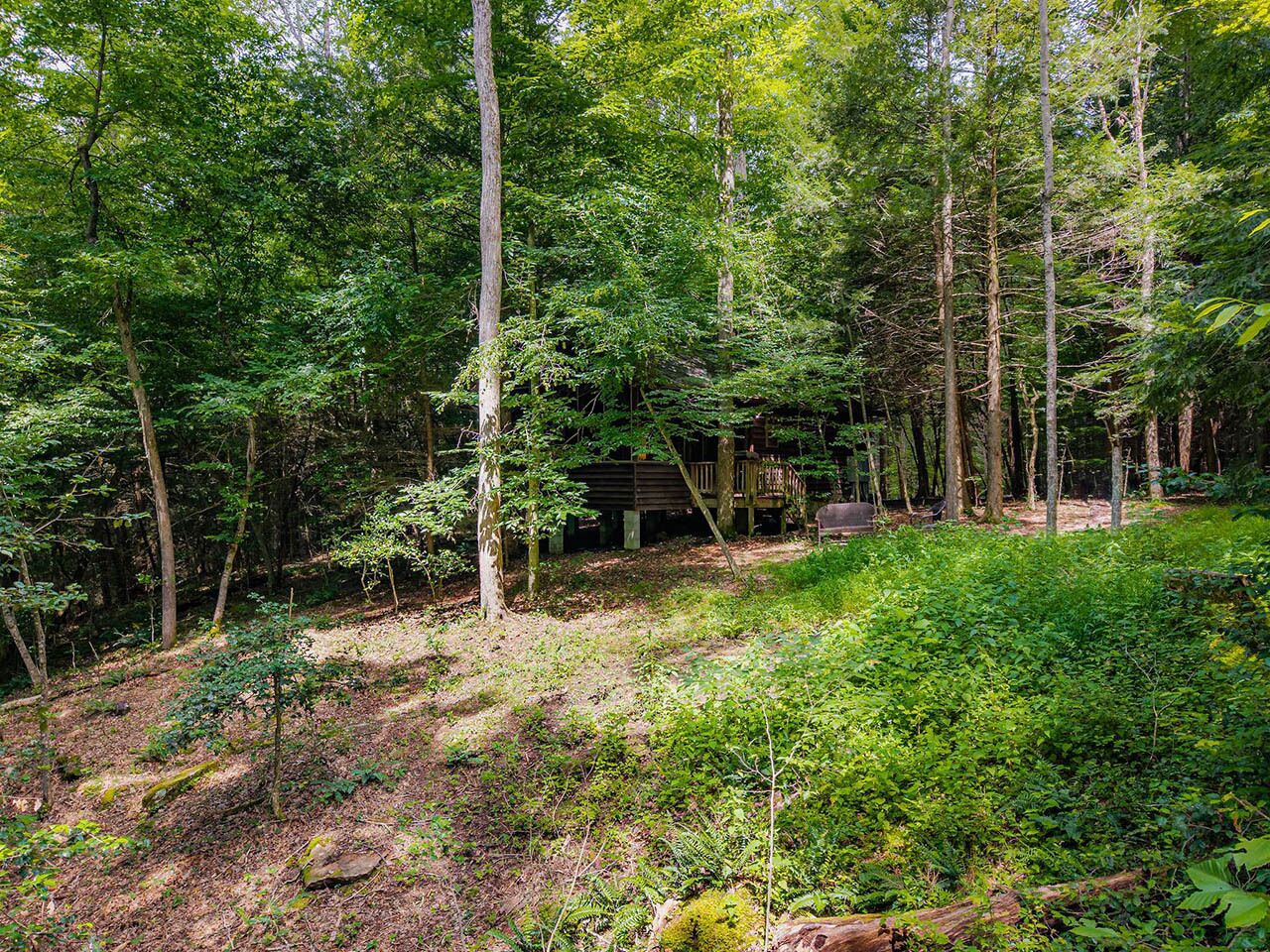A forested area with a wooden cabin and a covered outdoor seating area.