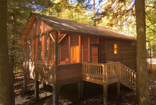 Hot Tub 2 BR Cabin in the woods New River Gorge (Cabin 2 Opossum Creek Retreat)