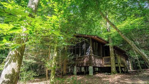 A wooden cabin in a forest with a deck and a covered porch.