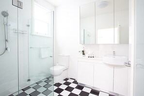 Shower, hair dryer, towels