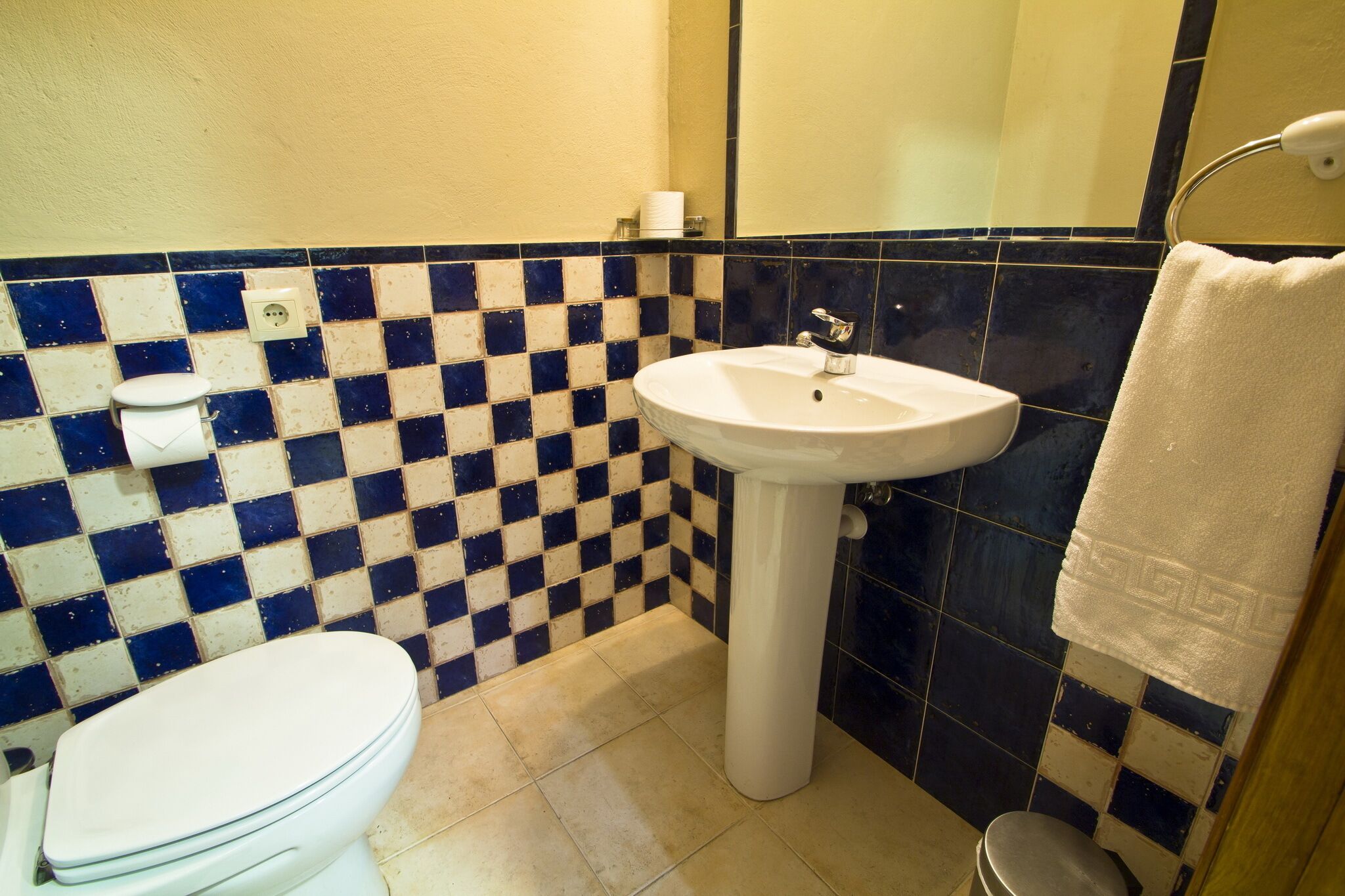 Een badkamer met een wit toilet, een witte wastafel en een blauw-wit geruit tegelpaneel.