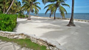 Uma praia com palmeiras, um caminho de concreto e vista para o oceano.
