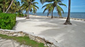 A beach with palm trees, a concrete pathway, and a view of the ocean.