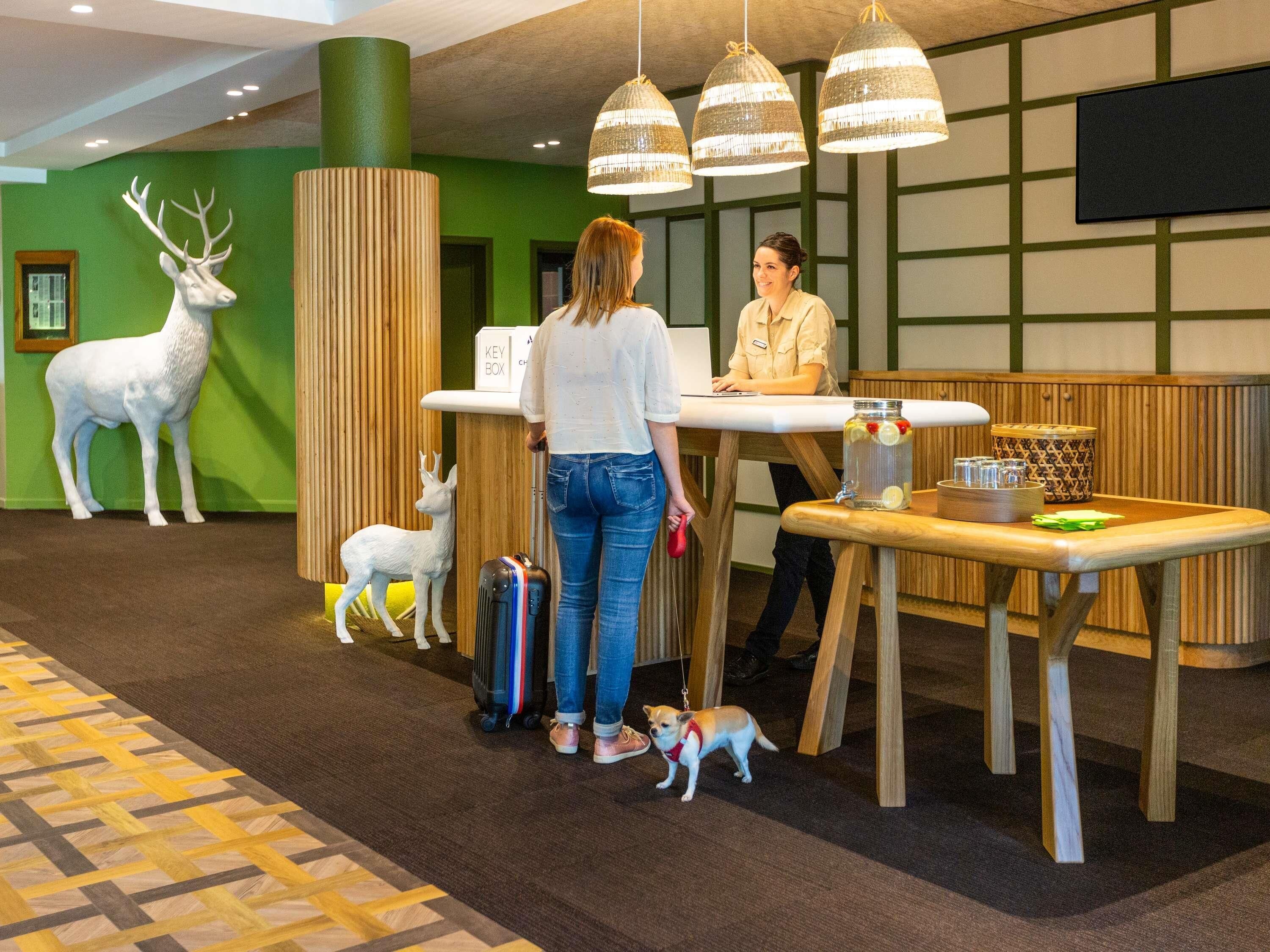 Een receptiehal met een receptiebalie, een groene wand en een groot hertenbeeld.