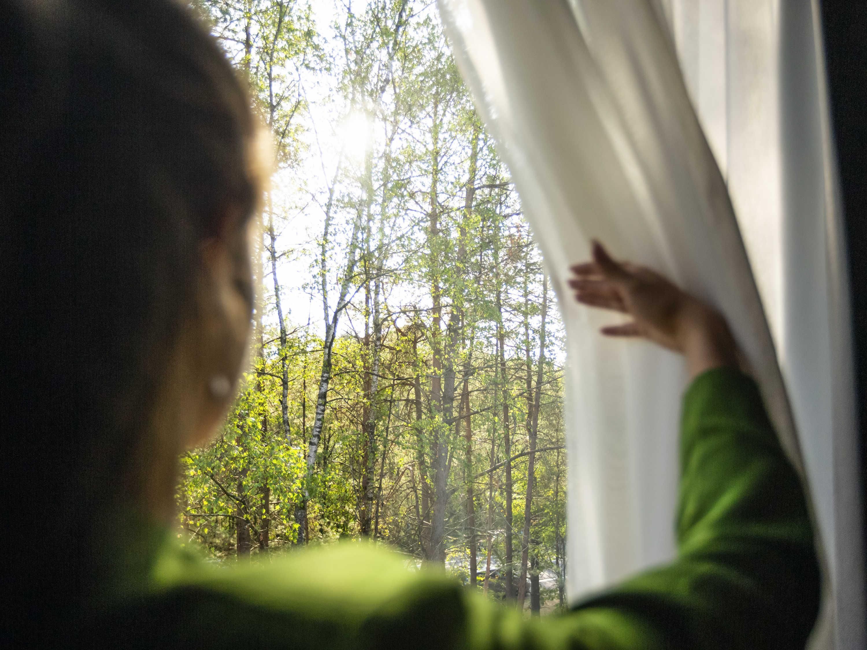 Une personne portant un pull vert, qui regarde par la fenêtre un paysage forestier.