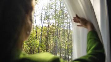 Une personne portant un pull vert, qui regarde par la fenêtre un paysage forestier.