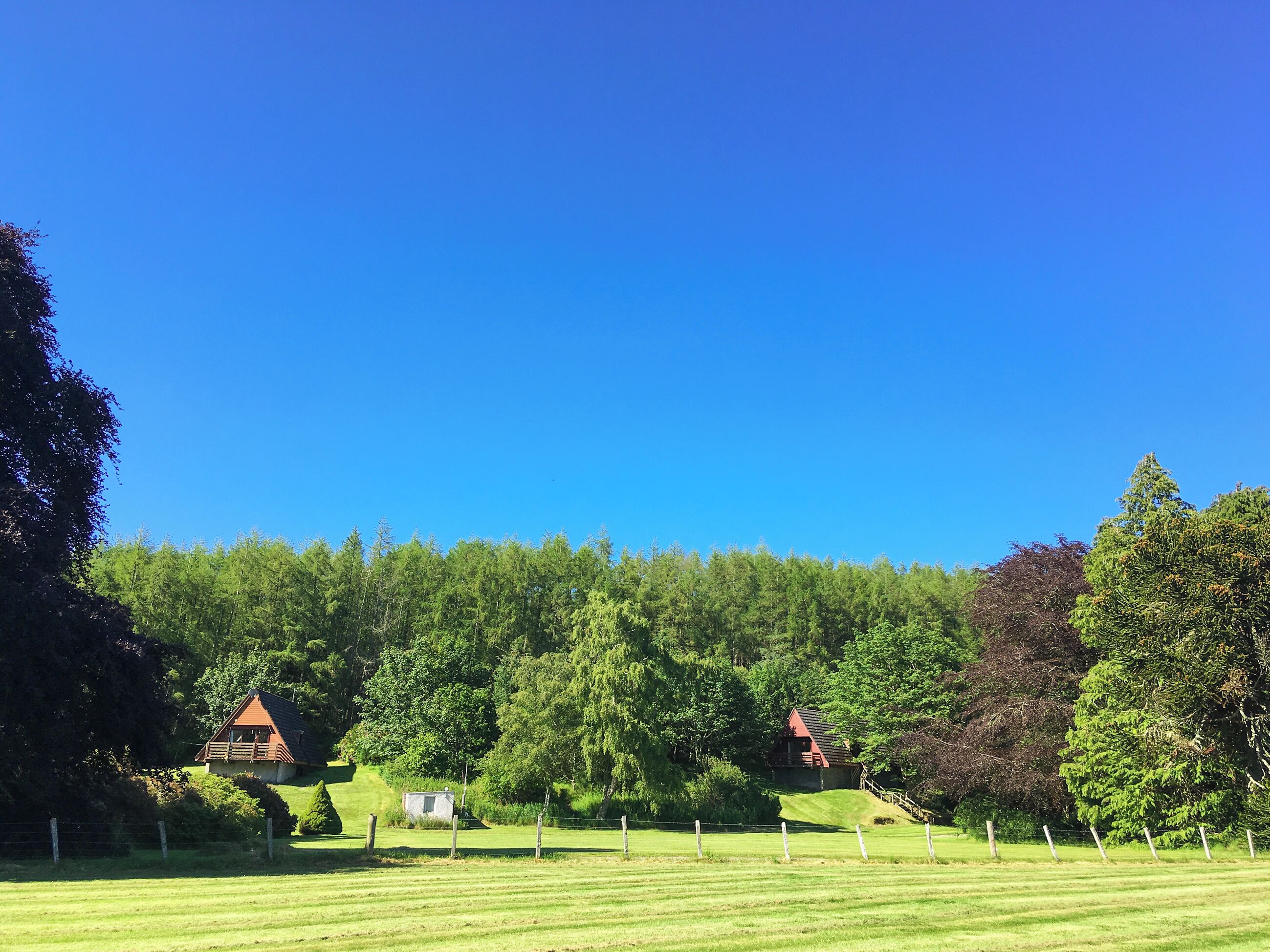 A rural landscape with a clear blue sky, a fenced field, and two wooden cabins with red roofs.