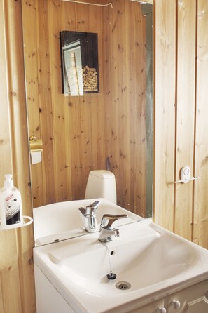 Family Apartment, 3 Bedrooms, Private Bathroom | Bathroom | Shower, soap, toilet paper