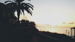 A coastal scene with a palm tree, a bridge, and power lines in the distance. - B&B Maia House (Santo Stefano di Camastra)