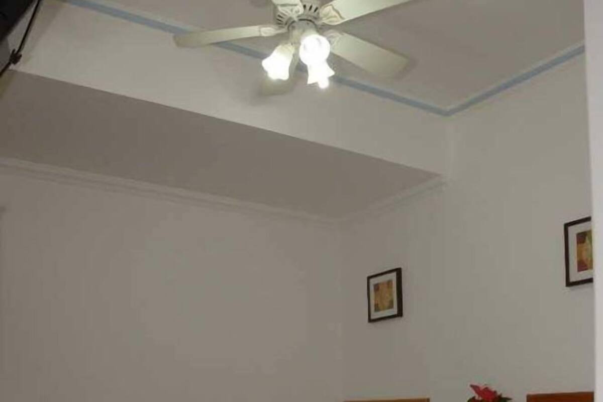 A room with two single beds, a ceiling fan, and a potted plant.