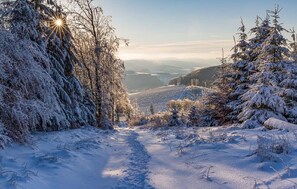 Wintersport/Ski