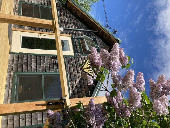 Un edificio con techo inclinado, varias ventanas y una mariposa sobre una rama con flores.