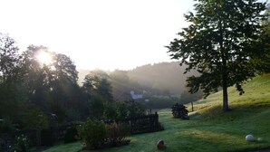 A rural landscape with a house, trees, and a grassy hill. - Very quiet holiday home in the Rothaar Mountains (Vormwald)